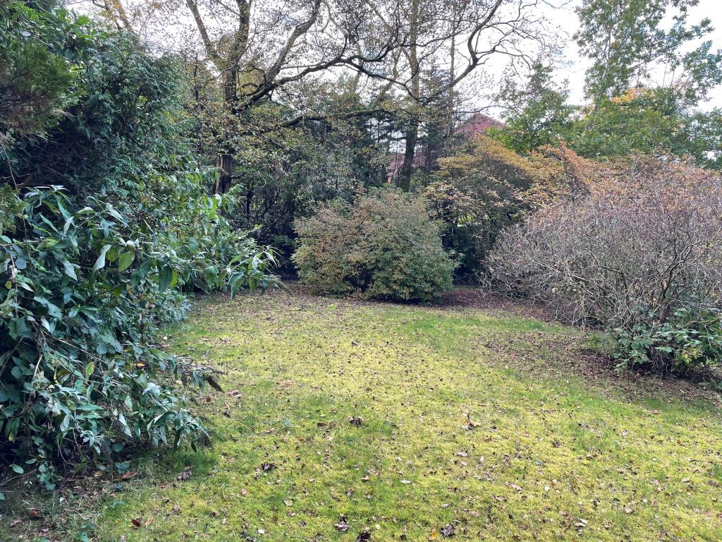 Lot: 153 - DETACHED BUNGALOW WITH POTENTIAL - Front Garden